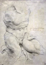 Belvedere Torso